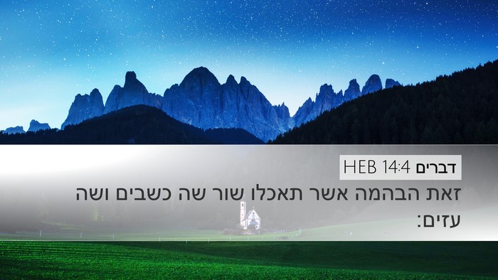 דברים 14:4 HEB Desktop Wallpaper - זאת הבהמה אשר תאכלו שור שה - Desktop Bible Verse Wallpaper