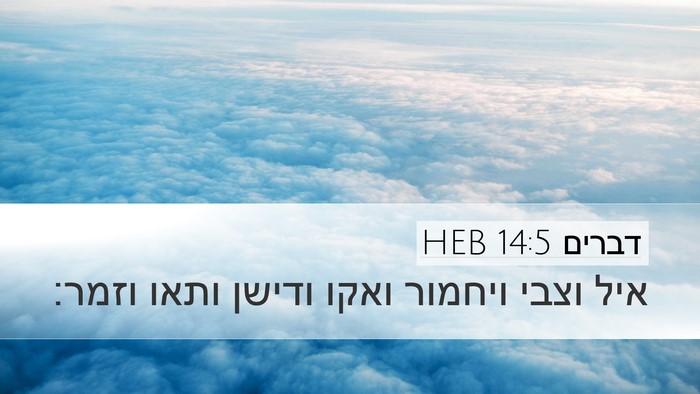 דברים 14:5 HEB Desktop Wallpaper - איל וצבי ויחמור ואקו ודישן - Desktop Bible Verse Wallpaper