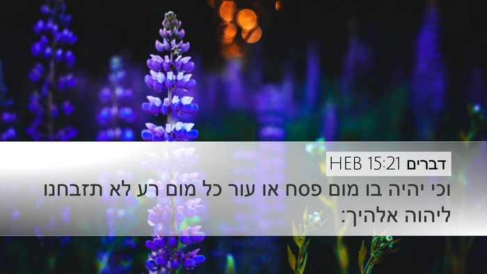 דברים 15:21 HEB Bible Verse Image