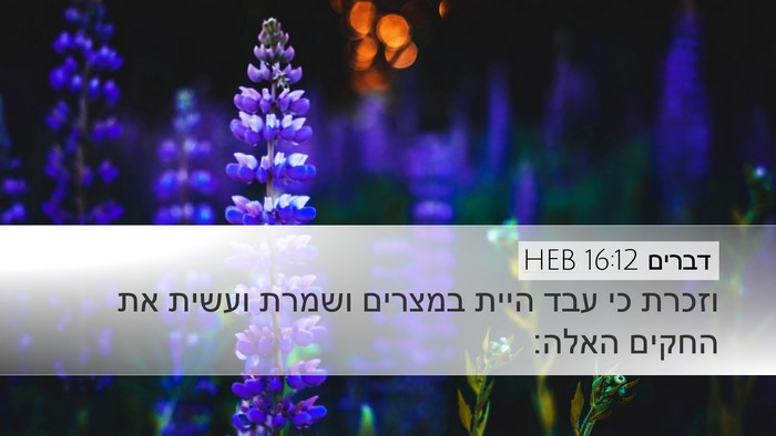 דברים 16:12 HEB Bible Verse Image
