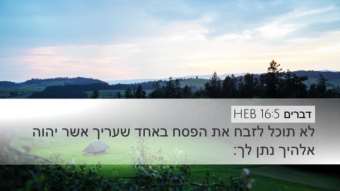דברים 16:5 HEB Desktop Wallpaper - לא תוכל לזבח את הפסח באחד - Desktop Bible Verse Wallpaper