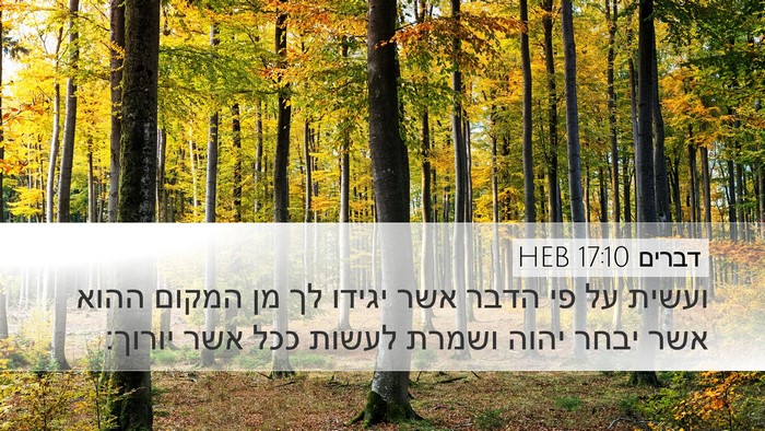 דברים 17:10 HEB Desktop Wallpaper - ועשית על פי הדבר אשר יגידו - Desktop Bible Verse Wallpaper