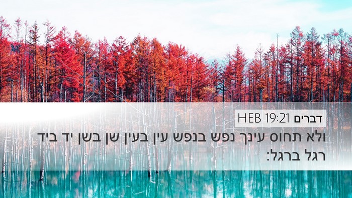 דברים 19:21 HEB Bible Verse Image