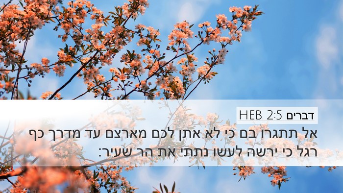 דברים 2:5 HEB Desktop Wallpaper - אל תתגרו בם כי לא אתן לכם - Desktop Bible Verse Wallpaper