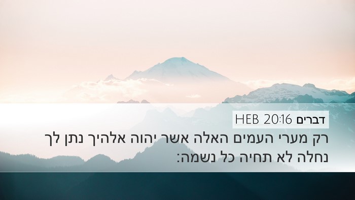 דברים 20:16 HEB Bible Verse Image