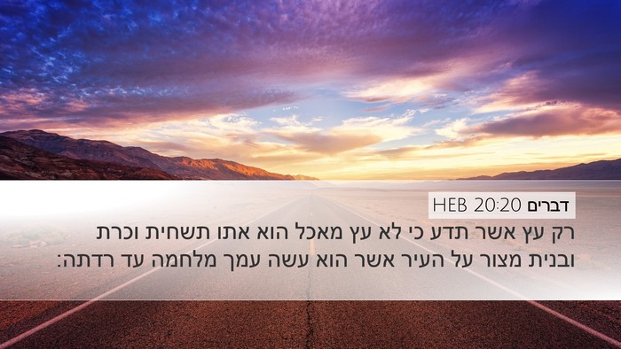 דברים 20:20 HEB Desktop Wallpaper - רק עץ אשר תדע כי לא עץ מאכל - Desktop Bible Verse Wallpaper
