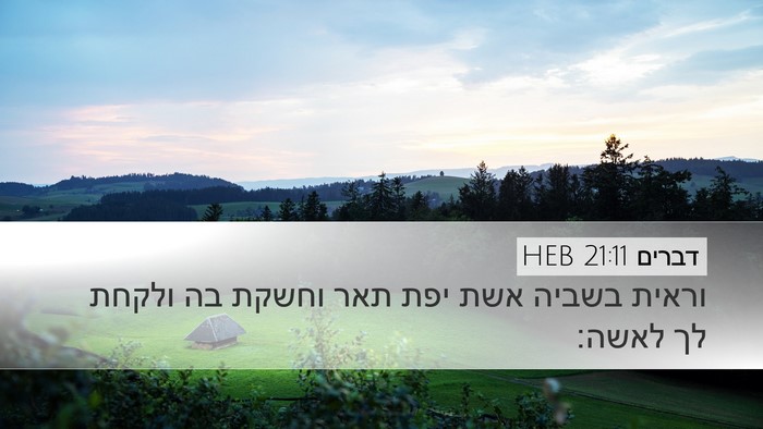דברים 21:11 HEB Desktop Wallpaper - וראית בשביה אשת יפת תאר - Desktop Bible Verse Wallpaper