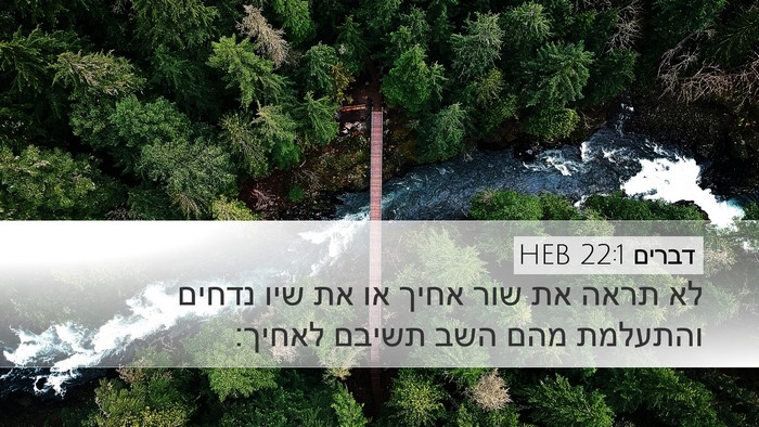 דברים 22:1 HEB Bible Verse Image