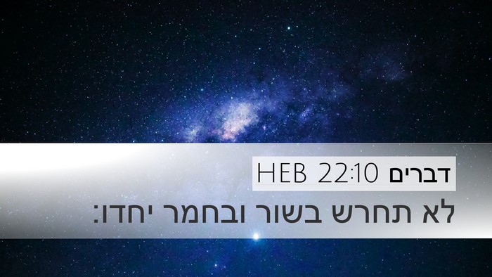 דברים 22:10 HEB Desktop Wallpaper - לא תחרש בשור ובחמר - Desktop Bible Verse Wallpaper