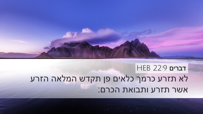 דברים 22:9 HEB Desktop Wallpaper - לא תזרע כרמך כלאים פן תקדש - Desktop Bible Verse Wallpaper