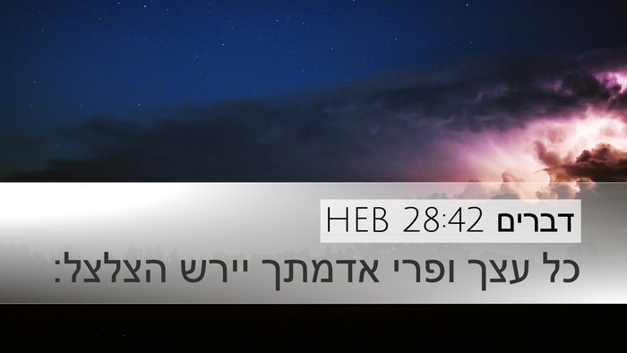 דברים 28:42 HEB Bible Verse Image