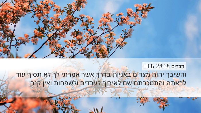 דברים 28:68 HEB Bible Verse Image