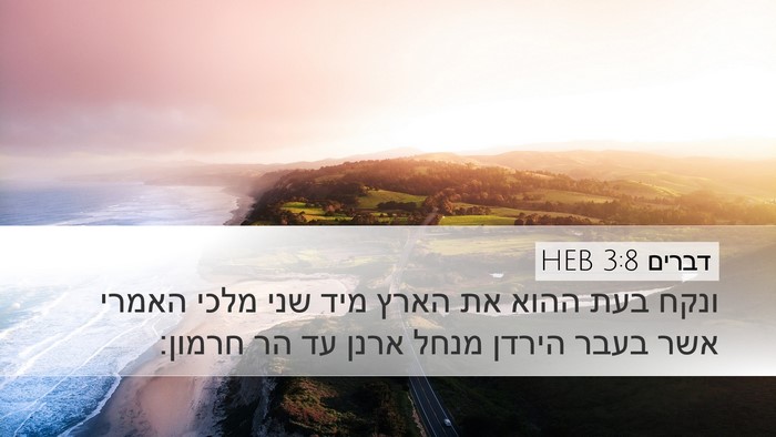 דברים 3:8 HEB Bible Verse Image