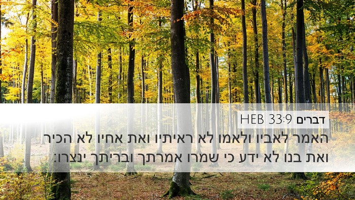 דברים 33:9 HEB Bible Verse Image