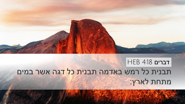 דברים 4:18 HEB Desktop Wallpaper - תבנית כל רמש באדמה תבנית כל - Desktop Bible Verse Wallpaper