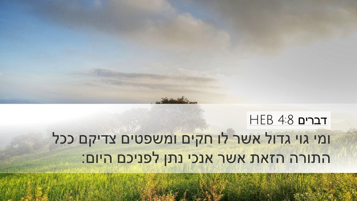 דברים 4:8 HEB Bible Verse Image