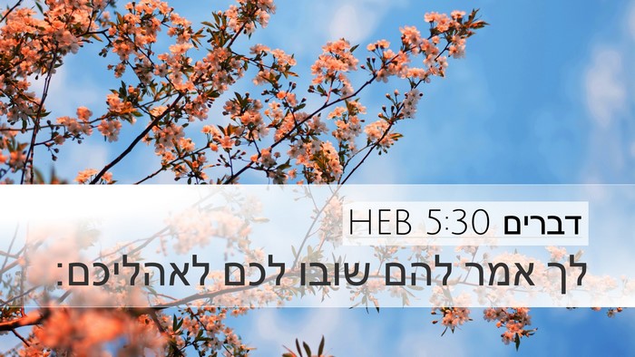 דברים 5:30 HEB Desktop Wallpaper - לך אמר להם שובו לכם - Desktop Bible Verse Wallpaper