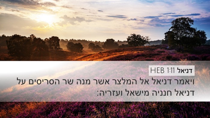 דניאל 1:11 HEB Desktop Wallpaper - ויאמר דניאל אל המלצר אשר - Desktop Bible Verse Wallpaper