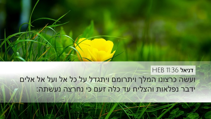 דניאל 11:36 HEB Desktop Wallpaper - ועשה כרצונו המלך ויתרומם - Desktop Bible Verse Wallpaper