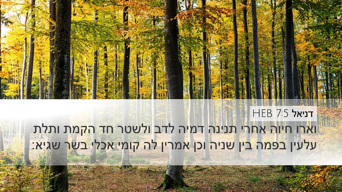 דניאל 7:5 HEB Bible Verse Image