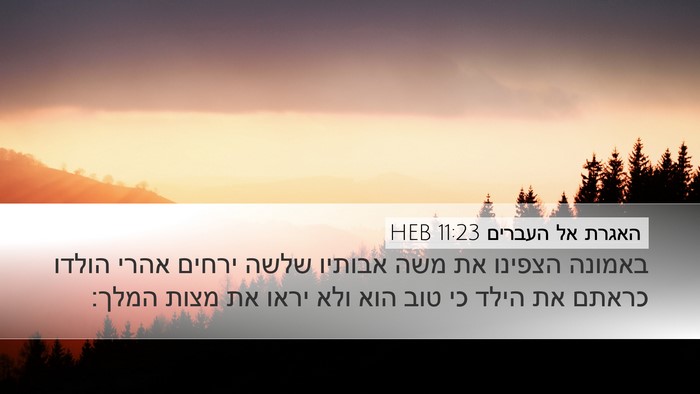 האגרת אל העברים 11:23 HEB Bible Verse Image