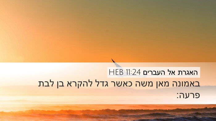 האגרת אל העברים 11:24 HEB Bible Verse Image