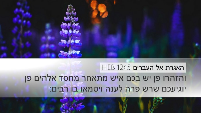 האגרת אל העברים 12:15 HEB Bible Verse Image