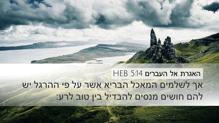 האגרת אל העברים 5:14 HEB Bible Verse Image