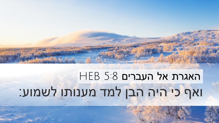 האגרת אל העברים 5:8 HEB Bible Verse Image