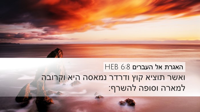האגרת אל העברים 6:8 HEB Bible Verse Image