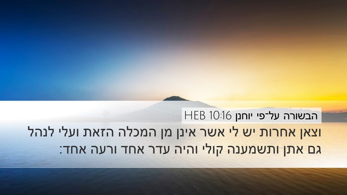 הבשורה על־פי יוחנן 10:16 HEB Bible Verse Image