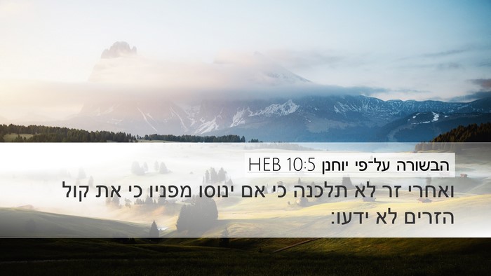 הבשורה על־פי יוחנן 10:5 HEB Bible Verse Image