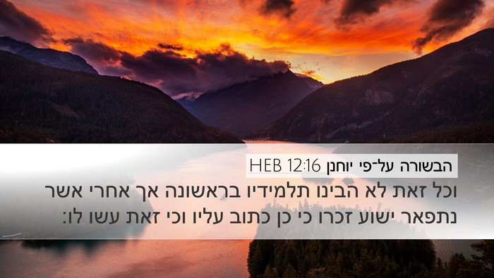 הבשורה על־פי יוחנן 12:16 HEB Bible Verse Image