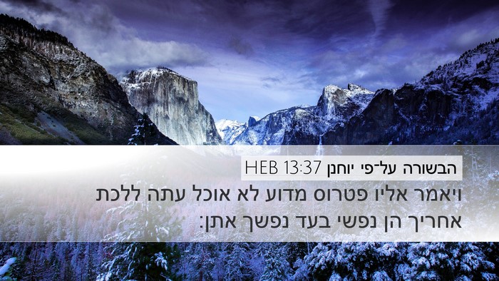 הבשורה על־פי יוחנן 13:37 HEB Bible Verse Image