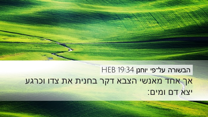 הבשורה על־פי יוחנן 19:34 HEB Bible Verse Image
