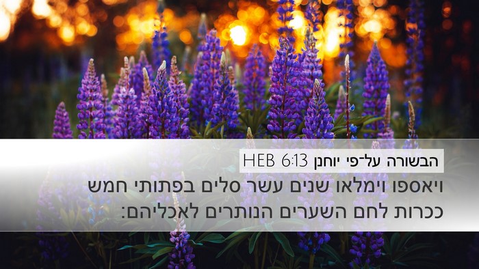 הבשורה על־פי יוחנן 6:13 HEB Bible Verse Image