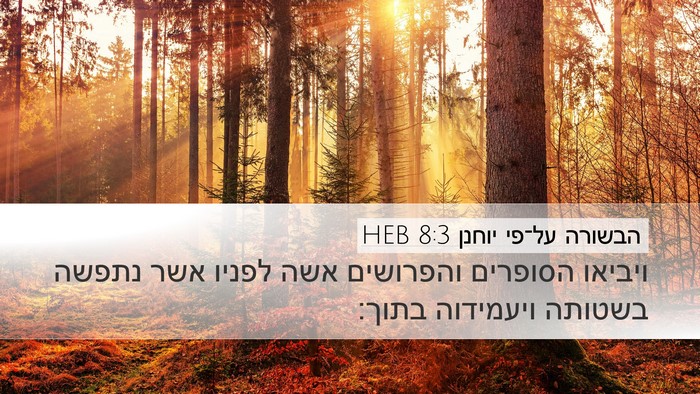 הבשורה על־פי יוחנן 8:3 HEB Bible Verse Image