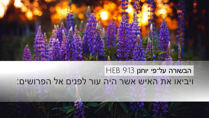 הבשורה על־פי יוחנן 9:13 HEB Desktop Wallpaper - ויביאו את האיש אשר היה עור - Desktop Bible Verse Wallpaper