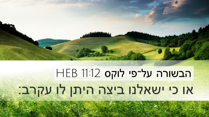 הבשורה על־פי לוקס 11:12 HEB Desktop Wallpaper - או כי ישאלנו ביצה היתן לו - Desktop Bible Verse Wallpaper