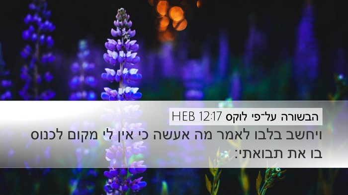 הבשורה על־פי לוקס 12:17 HEB Bible Verse Image