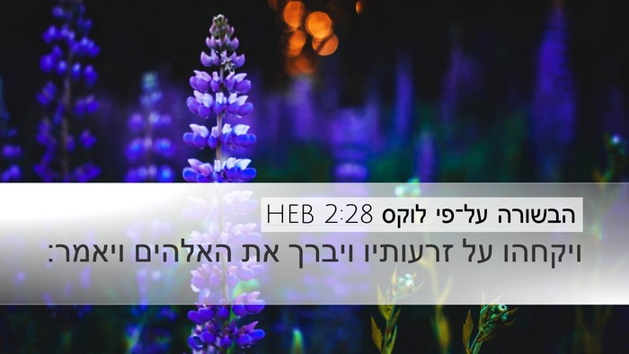 הבשורה על־פי לוקס 2:28 HEB Bible Verse Image