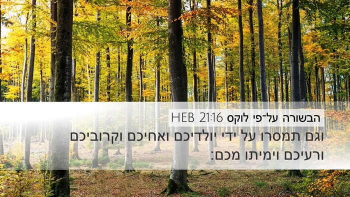 הבשורה על־פי לוקס 21:16 HEB Bible Verse Image