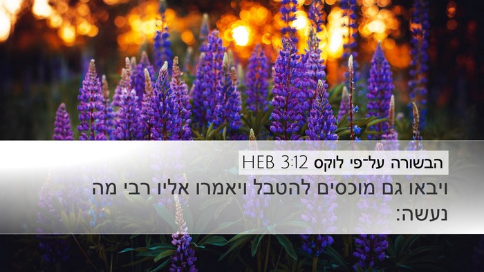 הבשורה על־פי לוקס 3:12 HEB Bible Verse Image