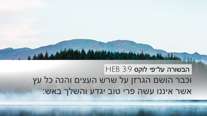 הבשורה על־פי לוקס 3:9 HEB Desktop Wallpaper - וכבר הושם הגרזן על שרש - Desktop Bible Verse Wallpaper