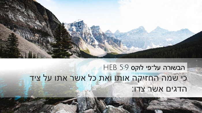 הבשורה על־פי לוקס 5:9 HEB Desktop Wallpaper - כי שמה החזיקה אותו ואת כל - Desktop Bible Verse Wallpaper