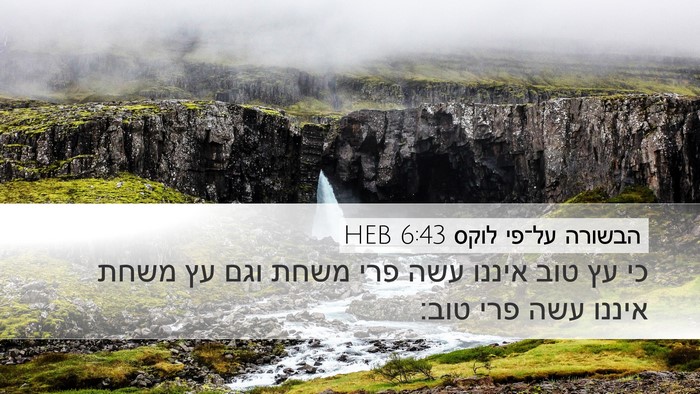 הבשורה על־פי לוקס 6:43 HEB Bible Verse Image