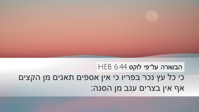 הבשורה על־פי לוקס 6:44 HEB Bible Verse Image