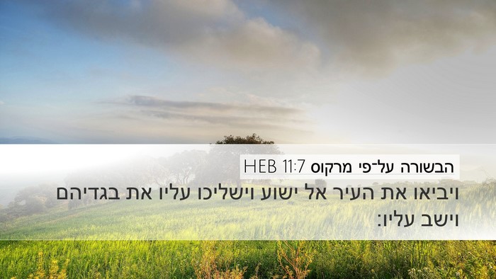 הבשורה על־פי מרקוס 11:7 HEB Desktop Wallpaper - ויביאו את העיר אל ישוע - Desktop Bible Verse Wallpaper