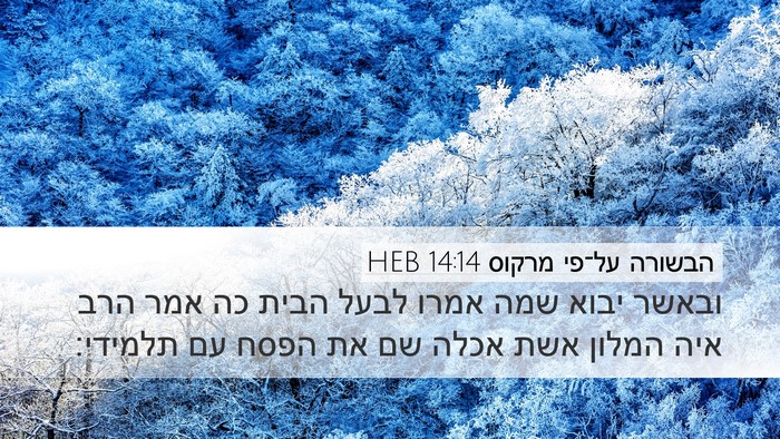 הבשורה על־פי מרקוס 14:14 HEB Desktop Wallpaper - ובאשר יבוא שמה אמרו לבעל - Desktop Bible Verse Wallpaper