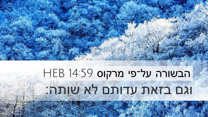 הבשורה על־פי מרקוס 14:59 HEB Desktop Wallpaper - וגם בזאת עדותם לא - Desktop Bible Verse Wallpaper